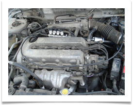 Nissan Primera