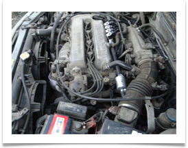 Nissan Primera